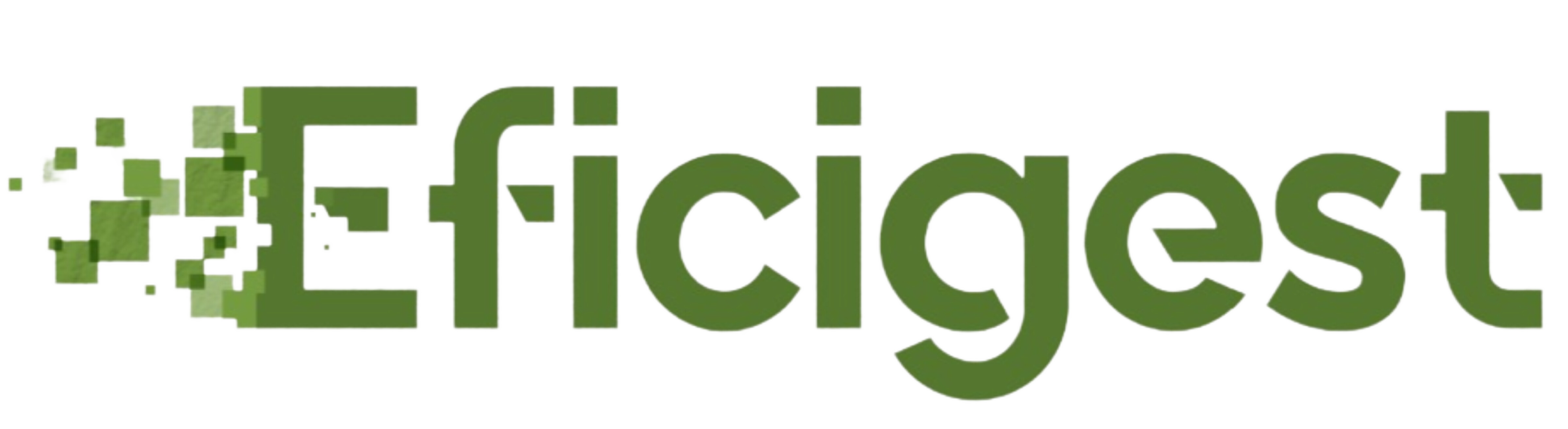 Eficigest